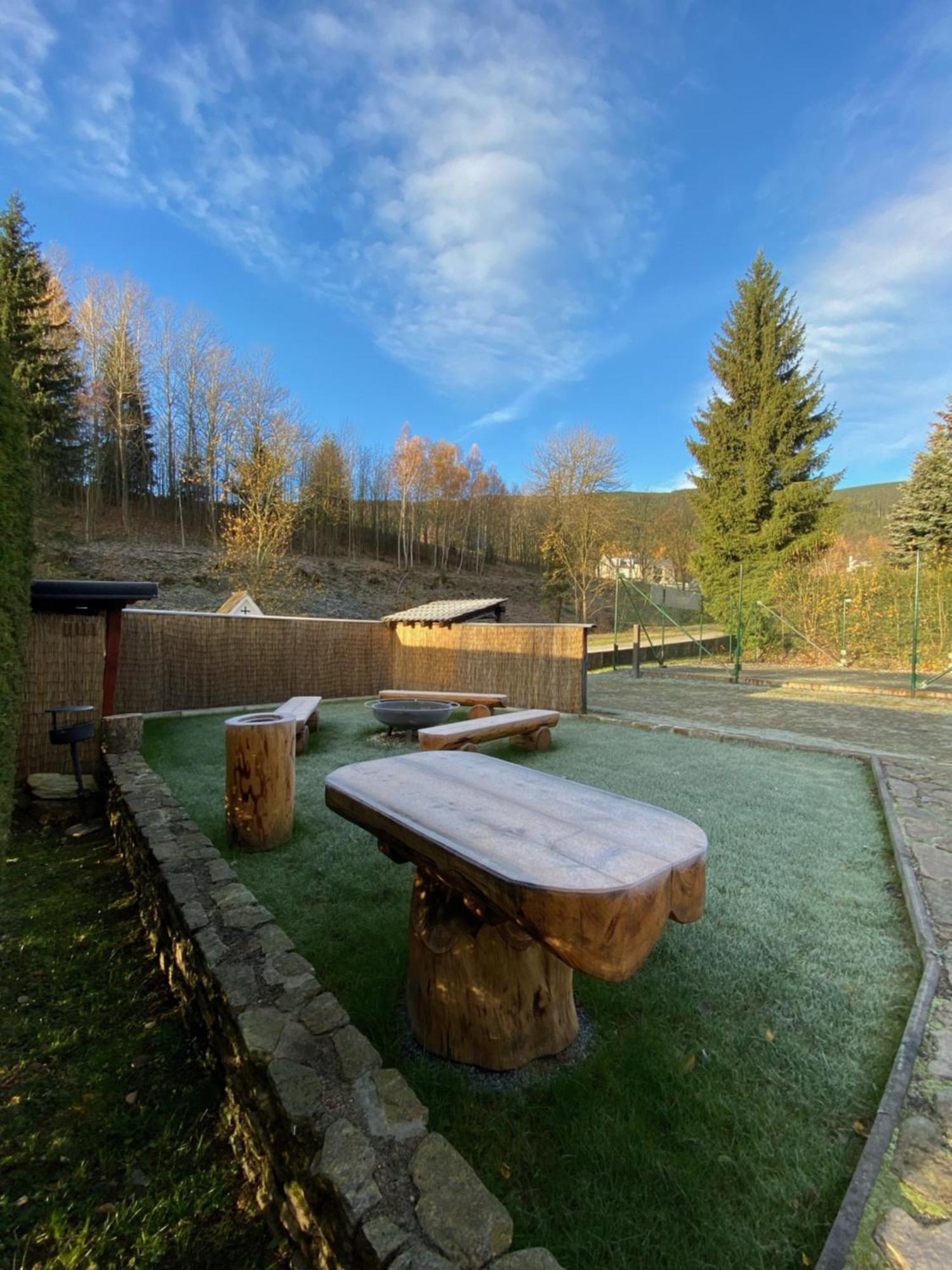 Horsky Hotel Snezenka Hyncice pod Susinou Экстерьер фото